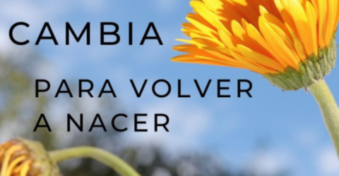 un girasol con la frase cambia para volver a nacer